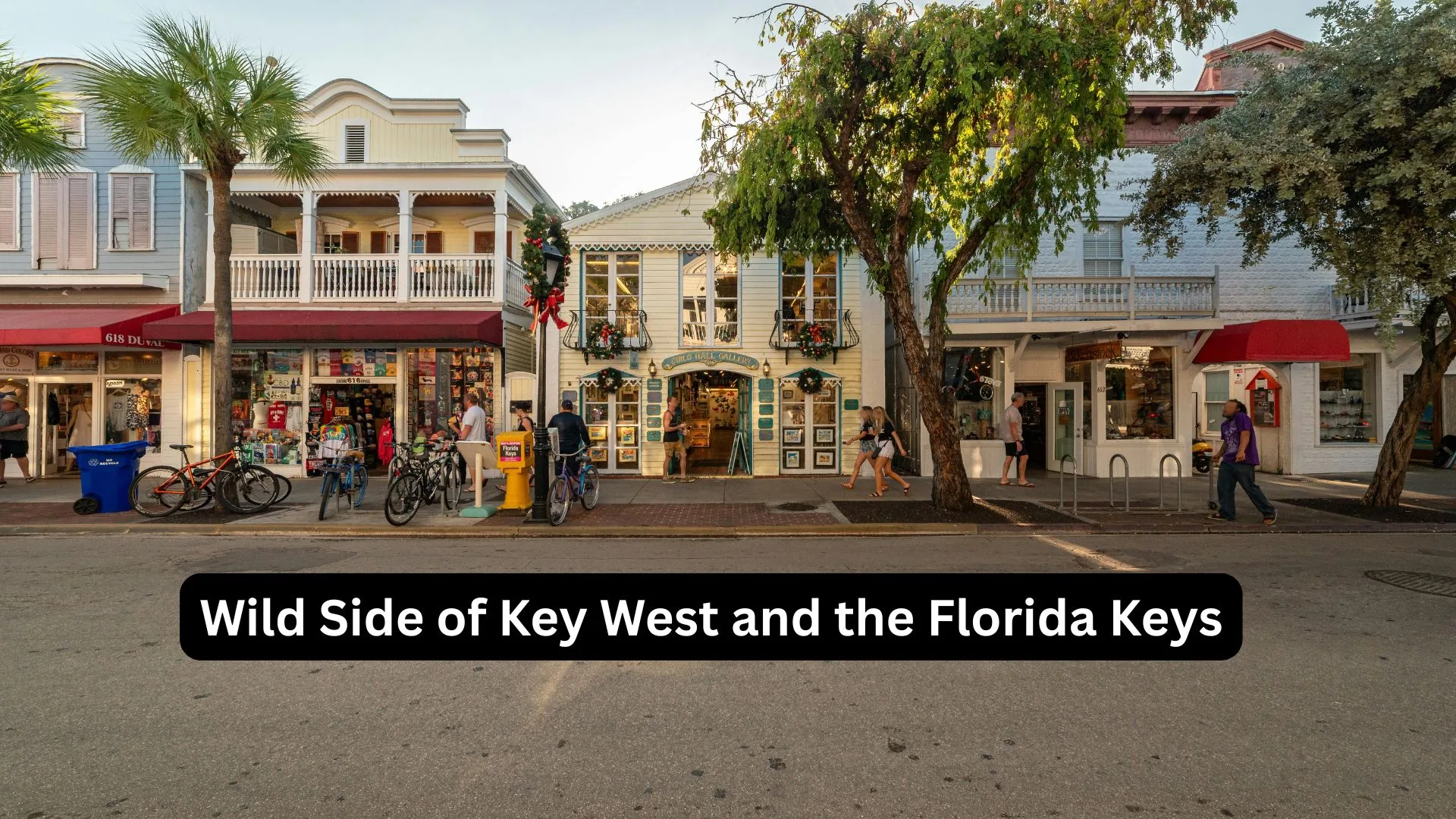 Wild Side of Key West and the Florida Keys