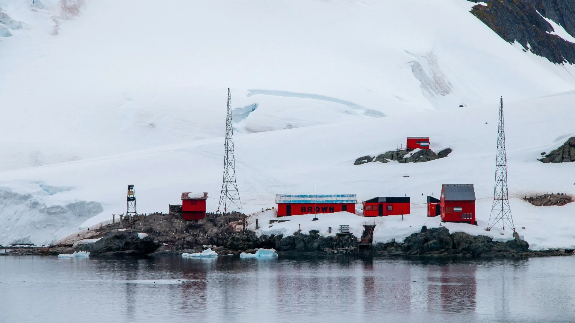 5 Private Expedition Brands Offering Immersive Journeys to Antarctica's Interior
