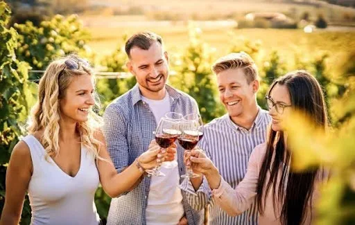Common Mistakes to Avoid When Planning Wine Tours
