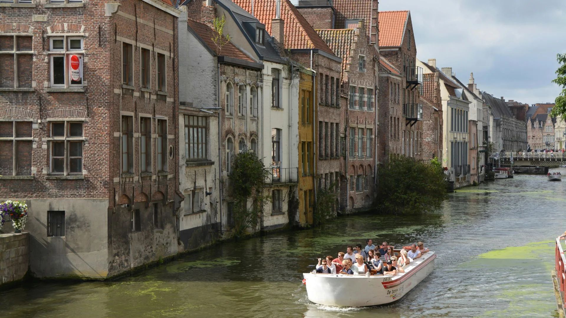 Top 5 Ways Luxury Galapagos Tours Beat Standard Ones