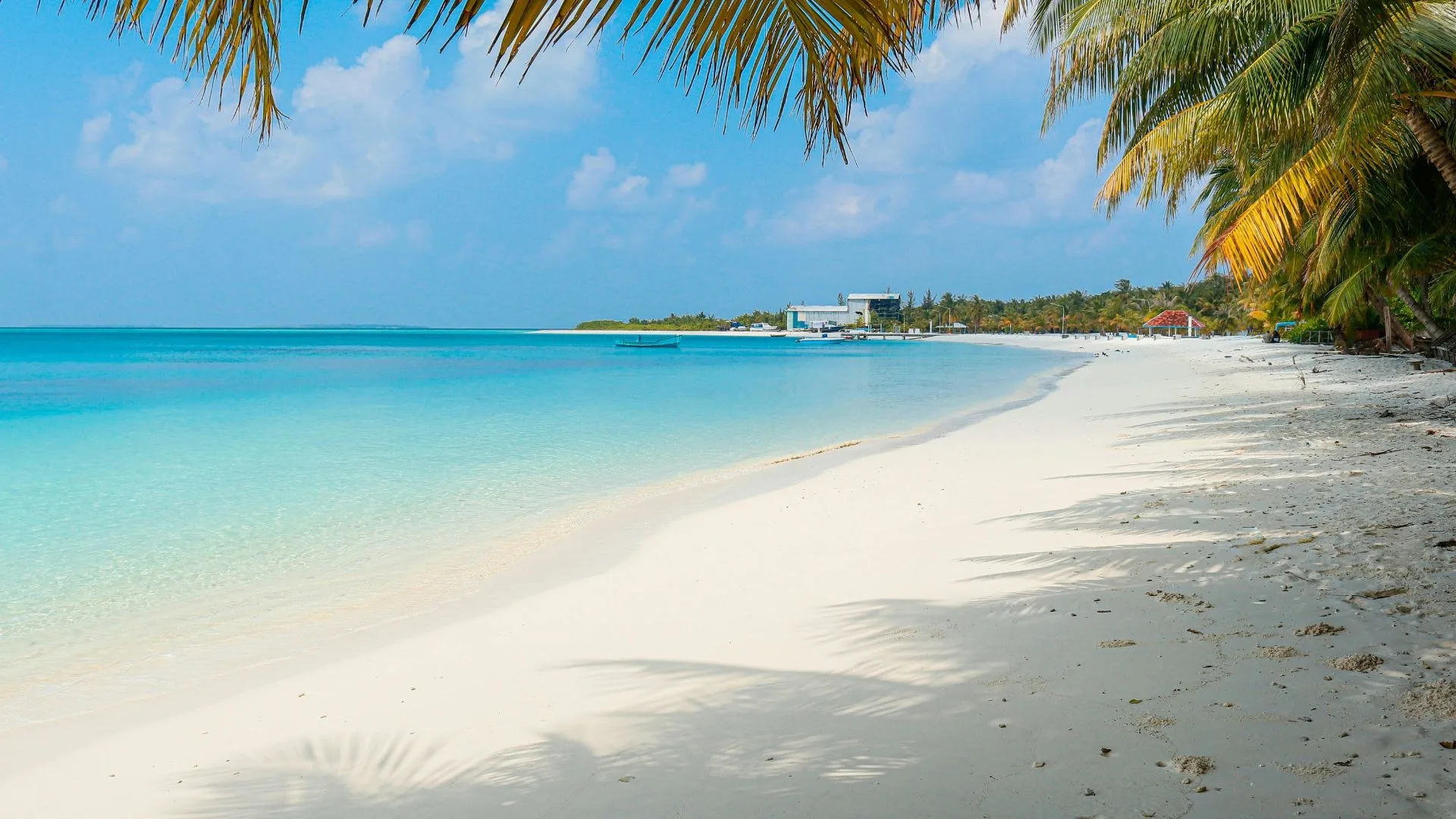 Top 8 Reasons to Visit Edisto Beach This Year