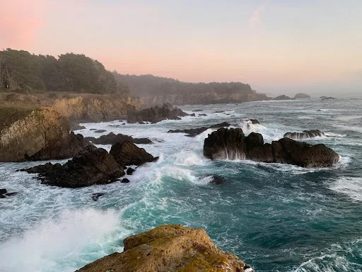What You Should Know Before Booking a California Coast Tour