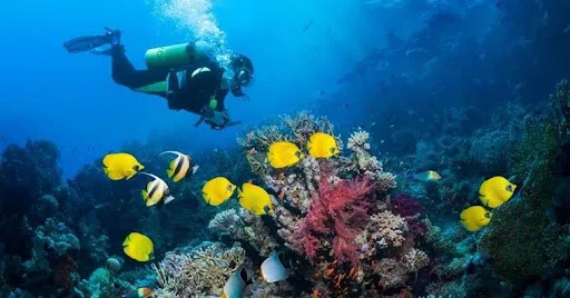 The healing waters of Bonaire