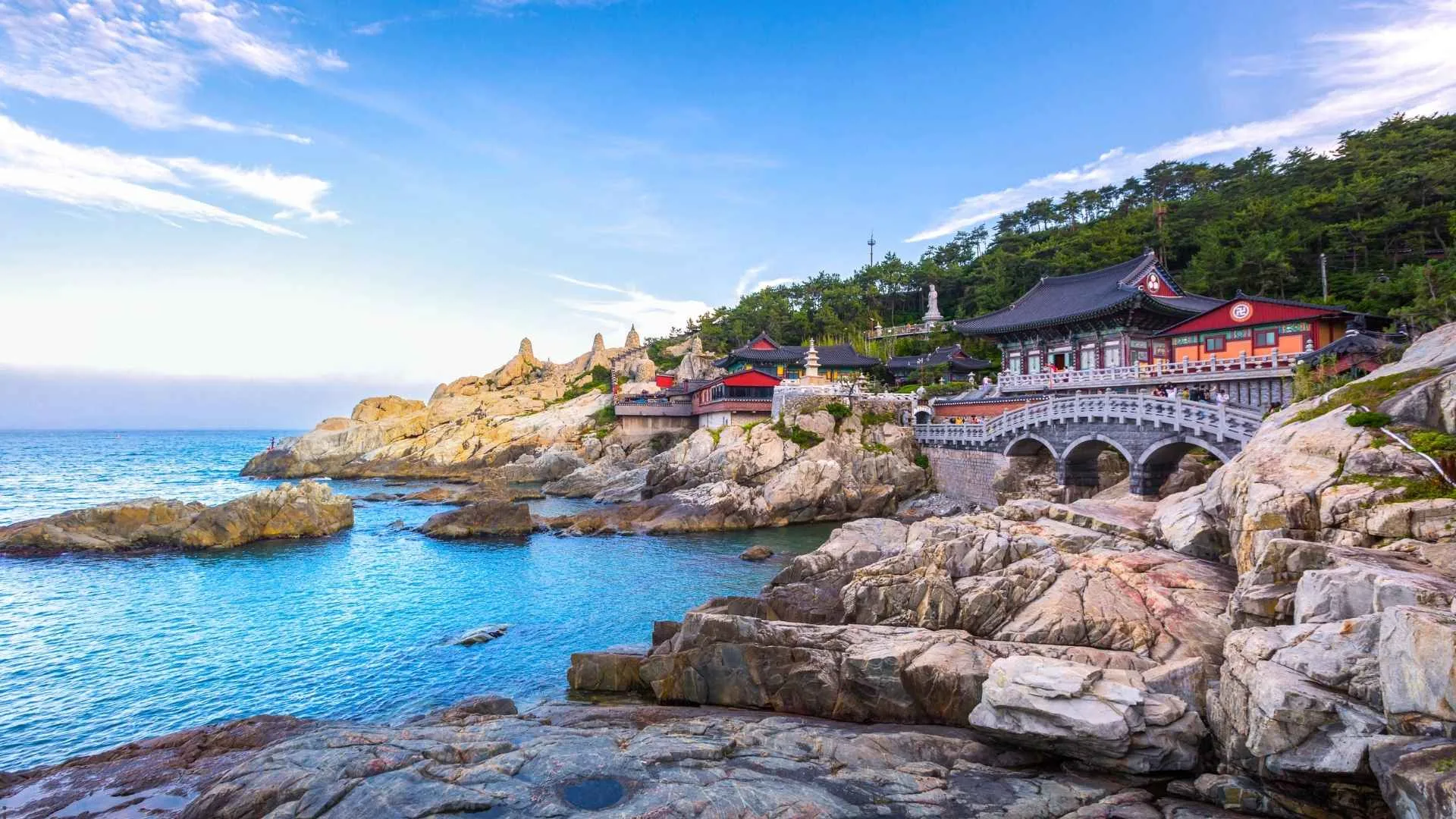 Busan Travel Guide 2026