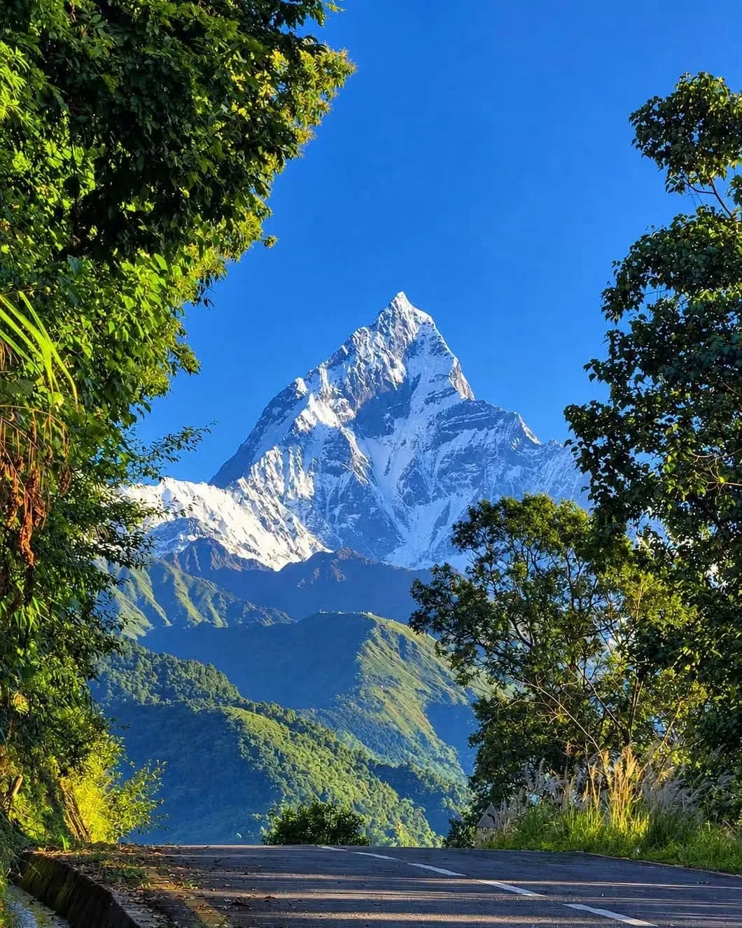Best Trekking Company in Nepal: How to Choose the Right Trekking Partner