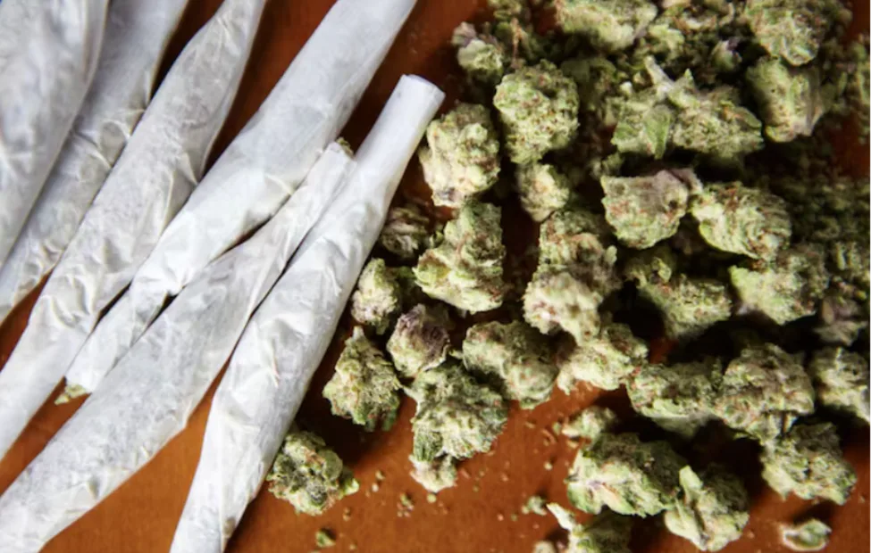Terpenes Contribute to Cheesy, Spicy Flavor.