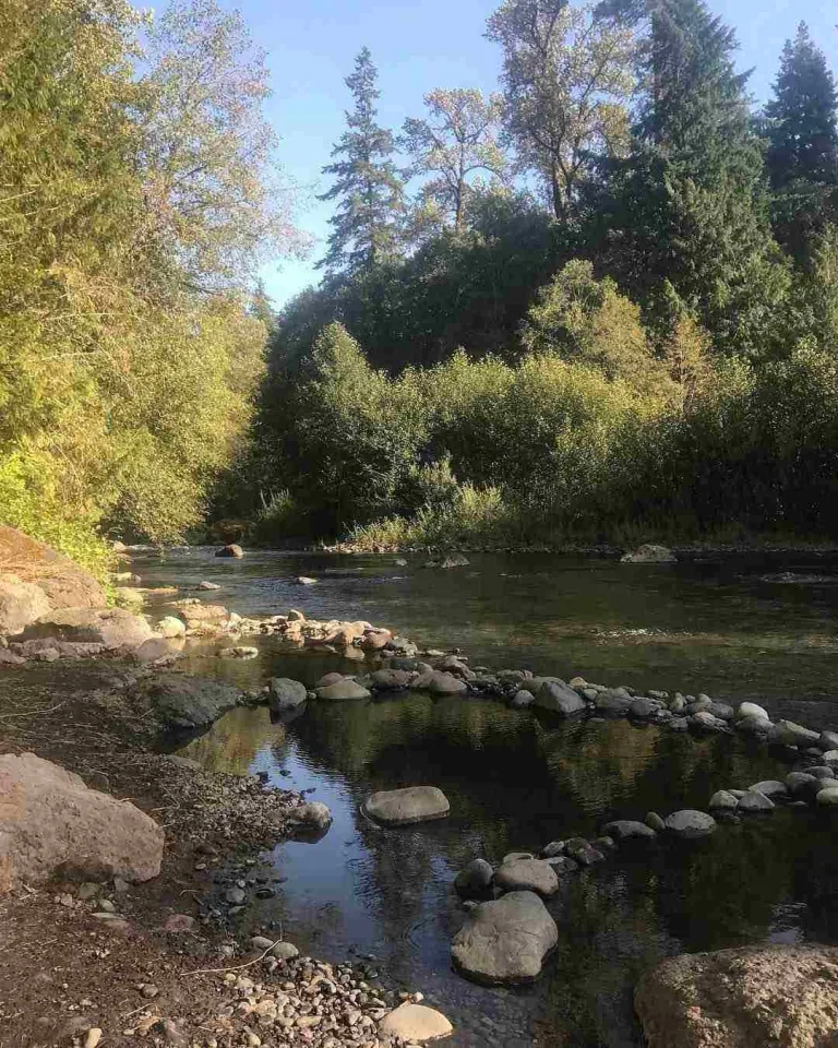 McCredie Hot Springs