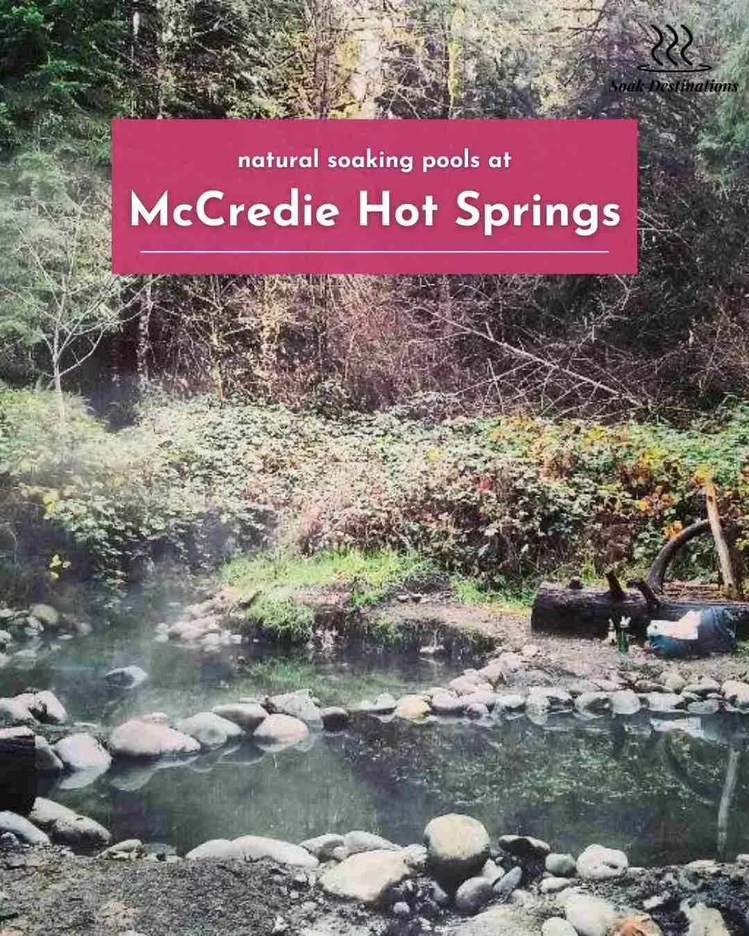 5 compressed - soakdestinations Steam rises from several rock-walled natural soaking pools tucked into the forest at McCredie Hot Springs.