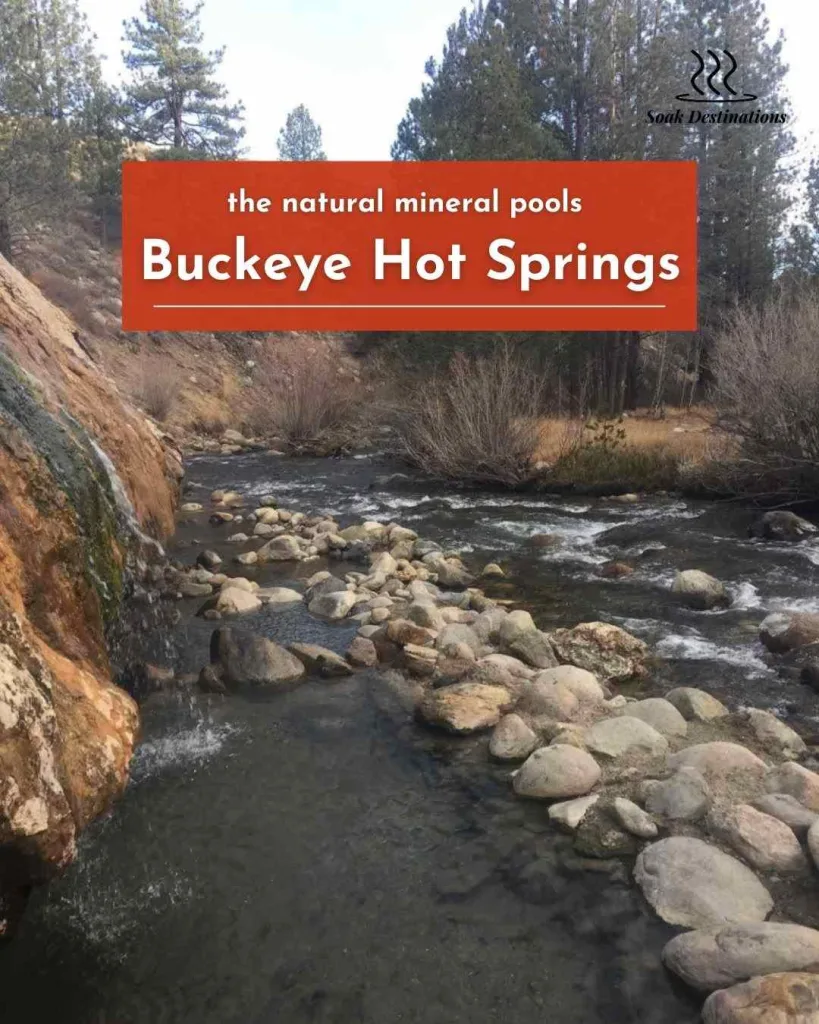 A rocky creek flows past the natural mineral pools and pine-covered hillsides of Buckeye Hot Springs.