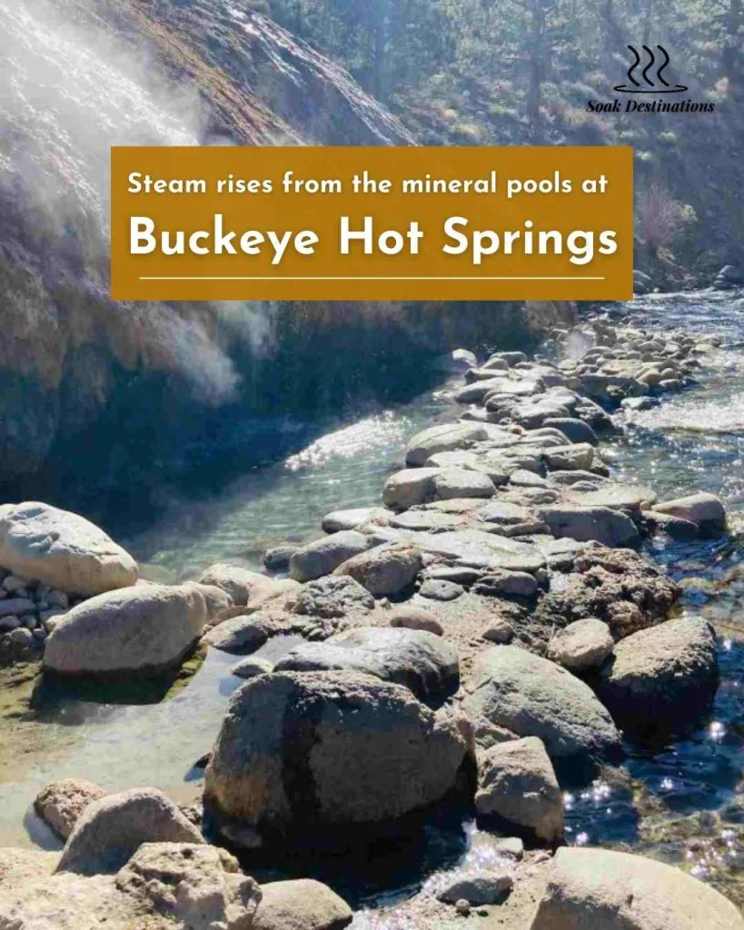 Steam rises from the mineral pools at Buckeye Hot Springs, nestled along a rocky mountain creek.