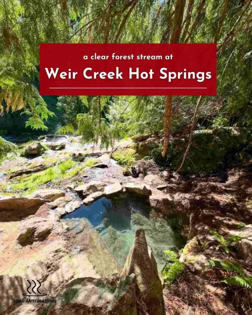 Weir Creek Hot Springs 9 - soakdestinations Sunlight glistens on a fallen log bridge crossing a clear forest stream at Weir Creek Hot Springs.