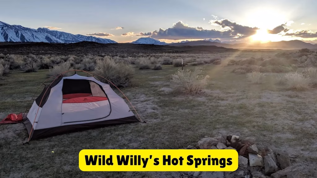 Wild Willy’s Hot Springs