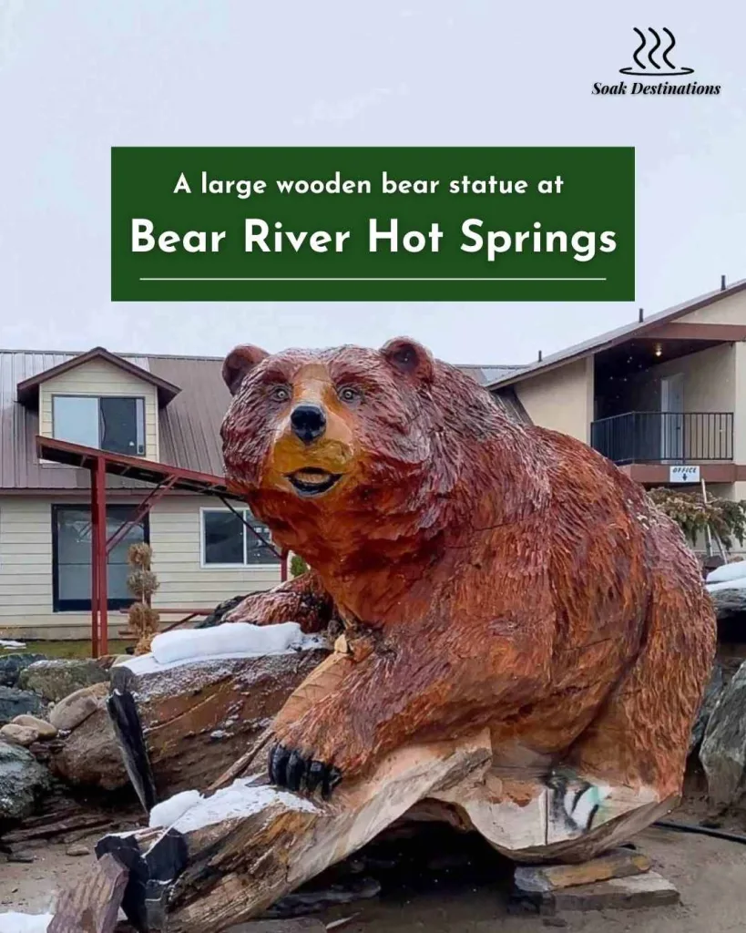A large wooden bear statue covered in a light dusting of snow at Bear River Hot Springs.