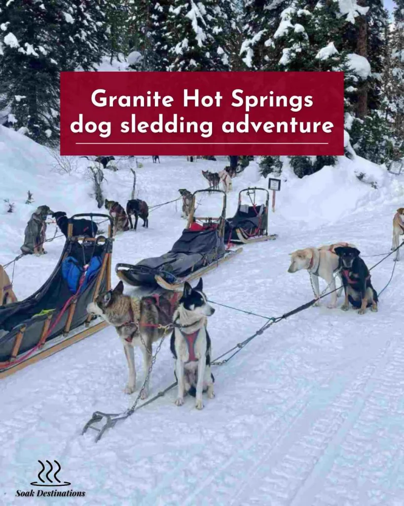 Granite Hot Springs 7 - soakdestinations Granite Hot Springs dog sledding adventure in snowy pine forest
