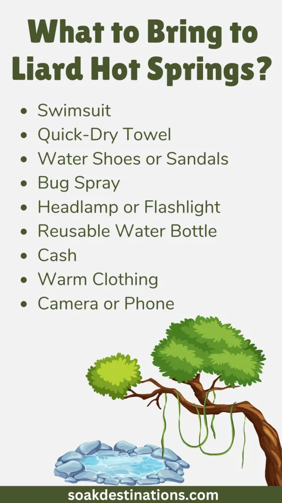 What to Bring to Liard Hot Springs