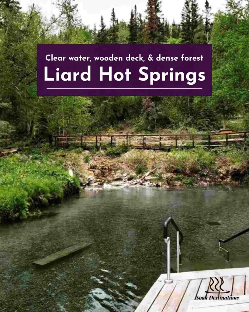 Clear water, wooden deck, and dense forest create a peaceful natural scene at Liard Hot Springs.