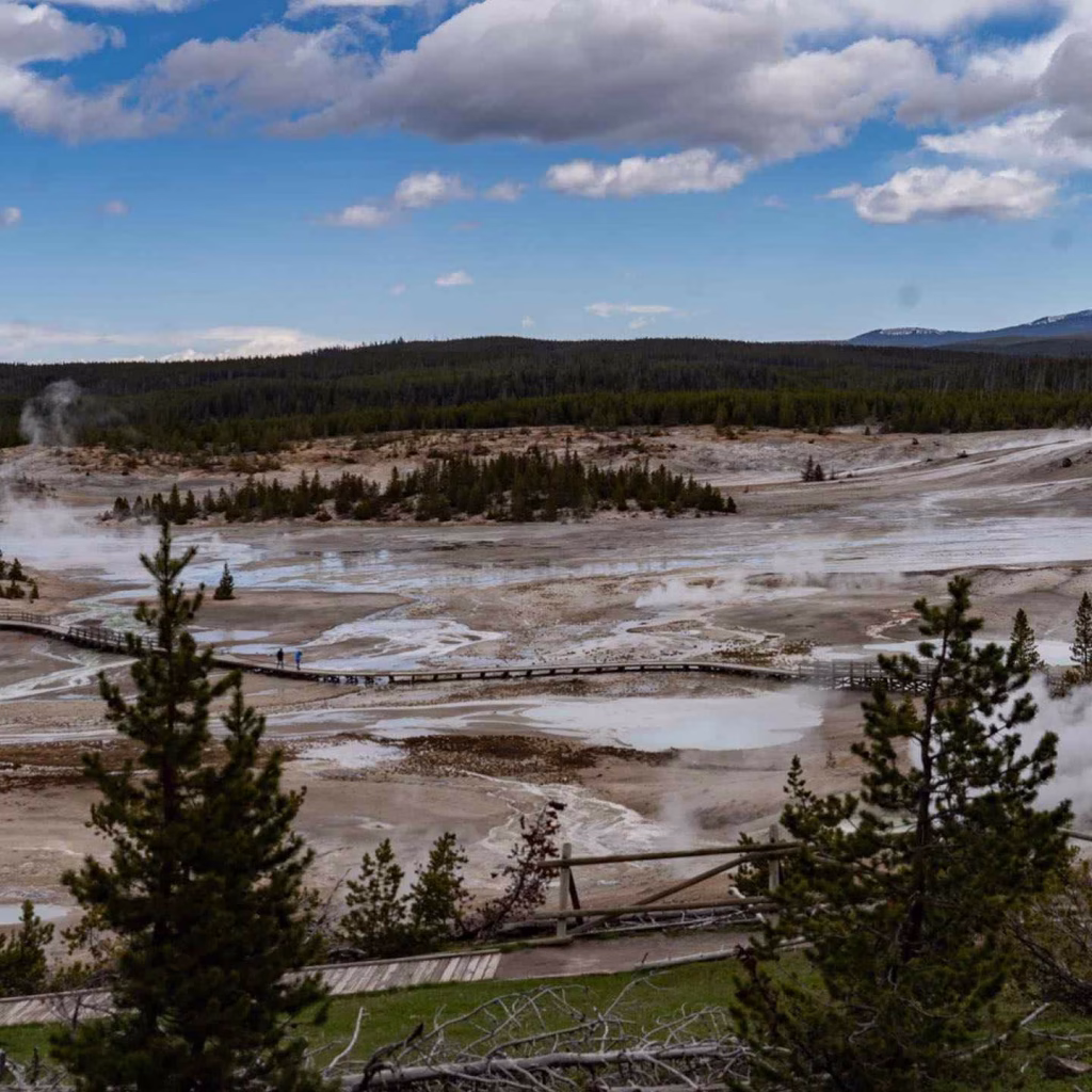 Norris Geyser Basin - Yellowstone National Park, Wyoming, USA