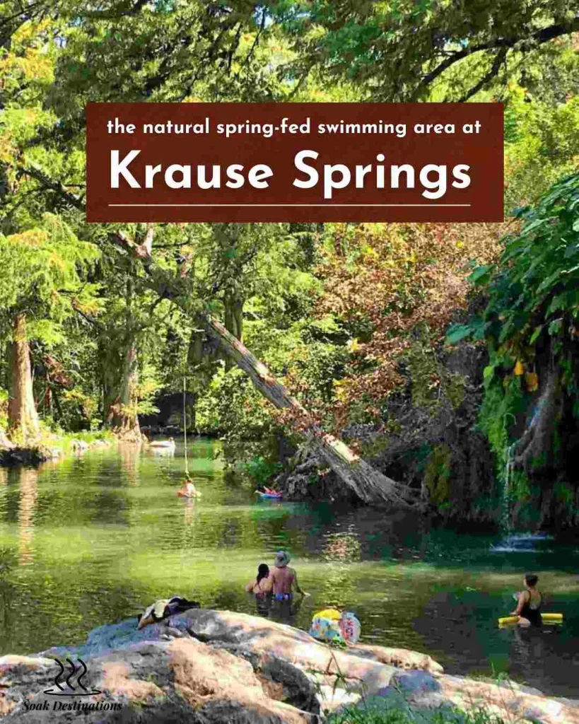 Families enjoying the natural spring-fed swimming area surrounded by lush greenery at Krause Springs Texas.