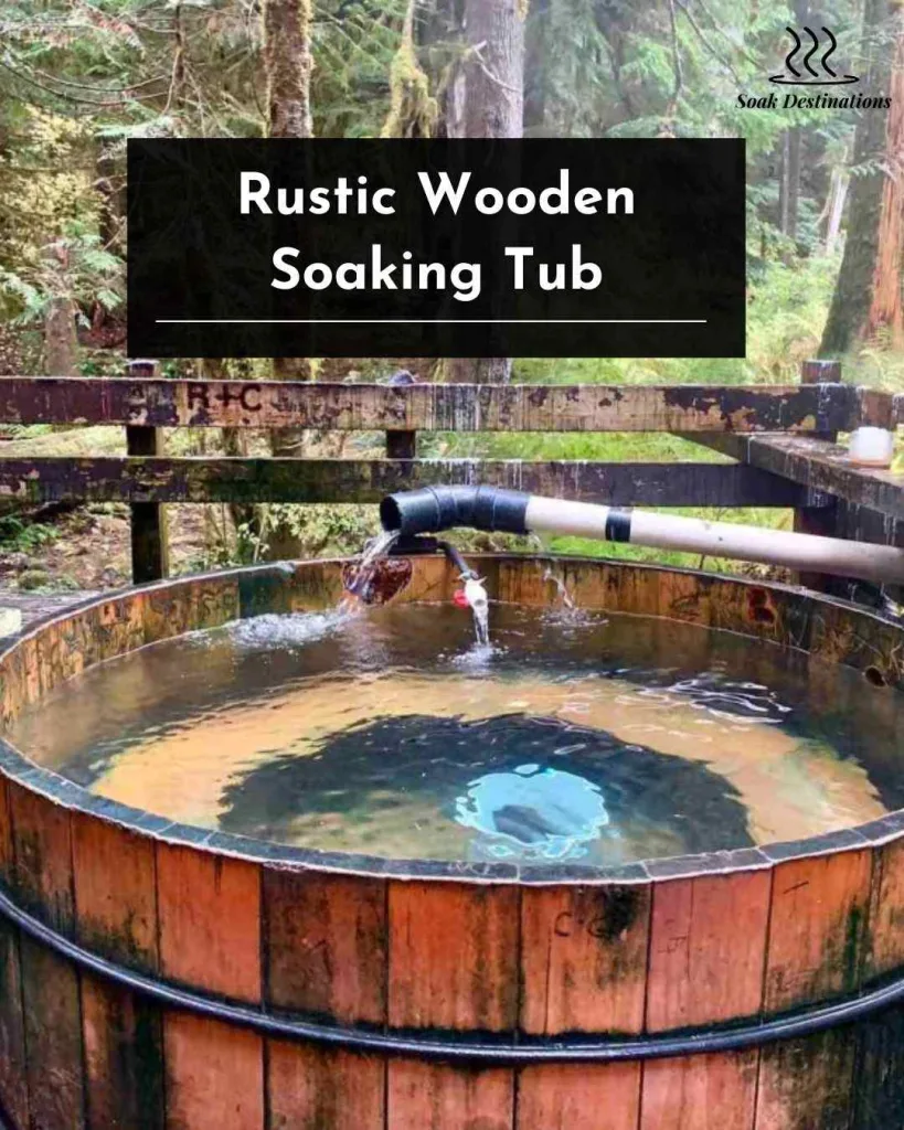 Rustic wooden soaking tub filled with water at Bagby Hot Springs nestled within a lush forest. 