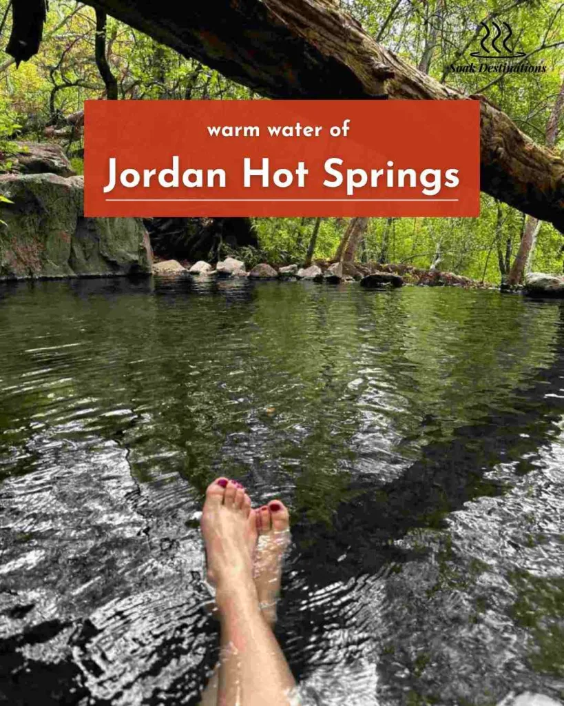 A person's feet with painted toenails soaking in the dark, warm water of Jordan Hot Springs.