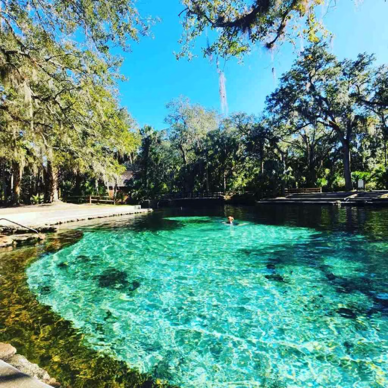 Juniper Springs Florida 4 - soakdestinations Juniper Springs Florida