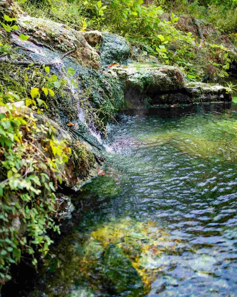 Superior Bathhouse Brewery