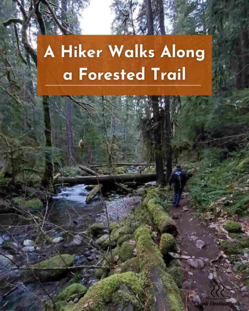 A hiker walks along a forested trail following a stream toward the Wall Creek Hot Springs. 