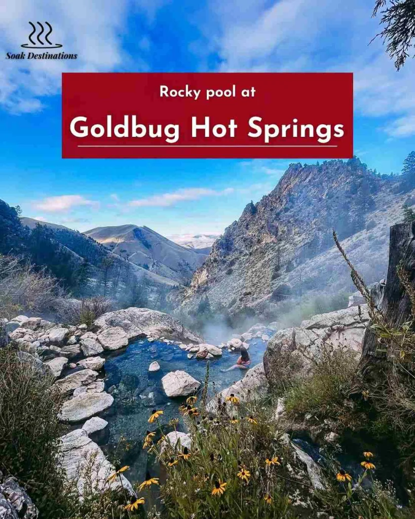 Rocky pool at Goldbug Hot Springs with steam, wildflowers, and dramatic mountain canyon views. 