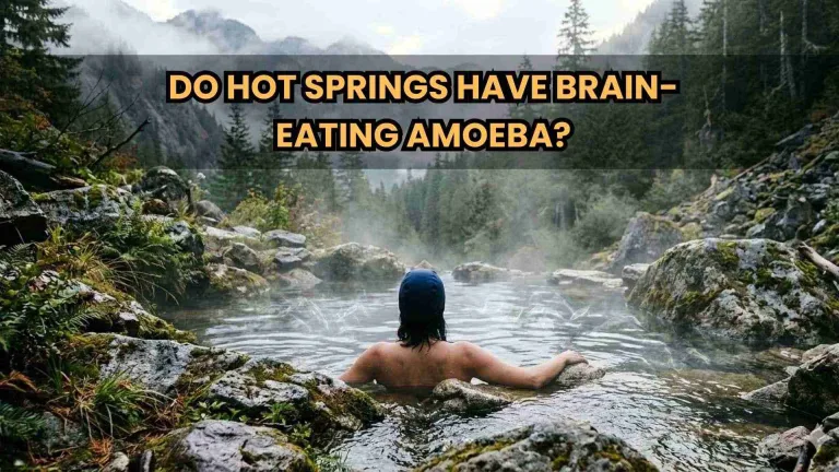 Do Hot Springs Have Brain Eating Amoeba