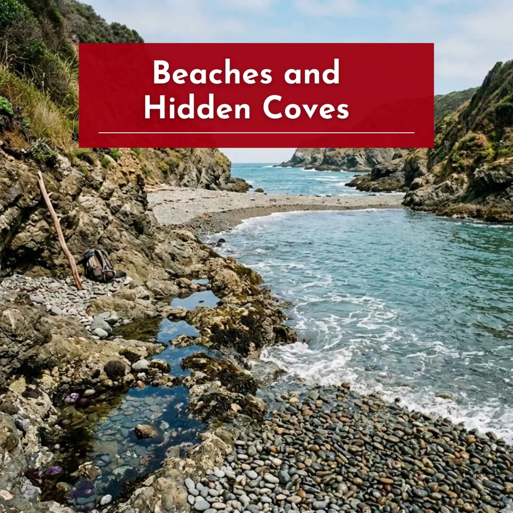 Beaches and Hidden Coves
