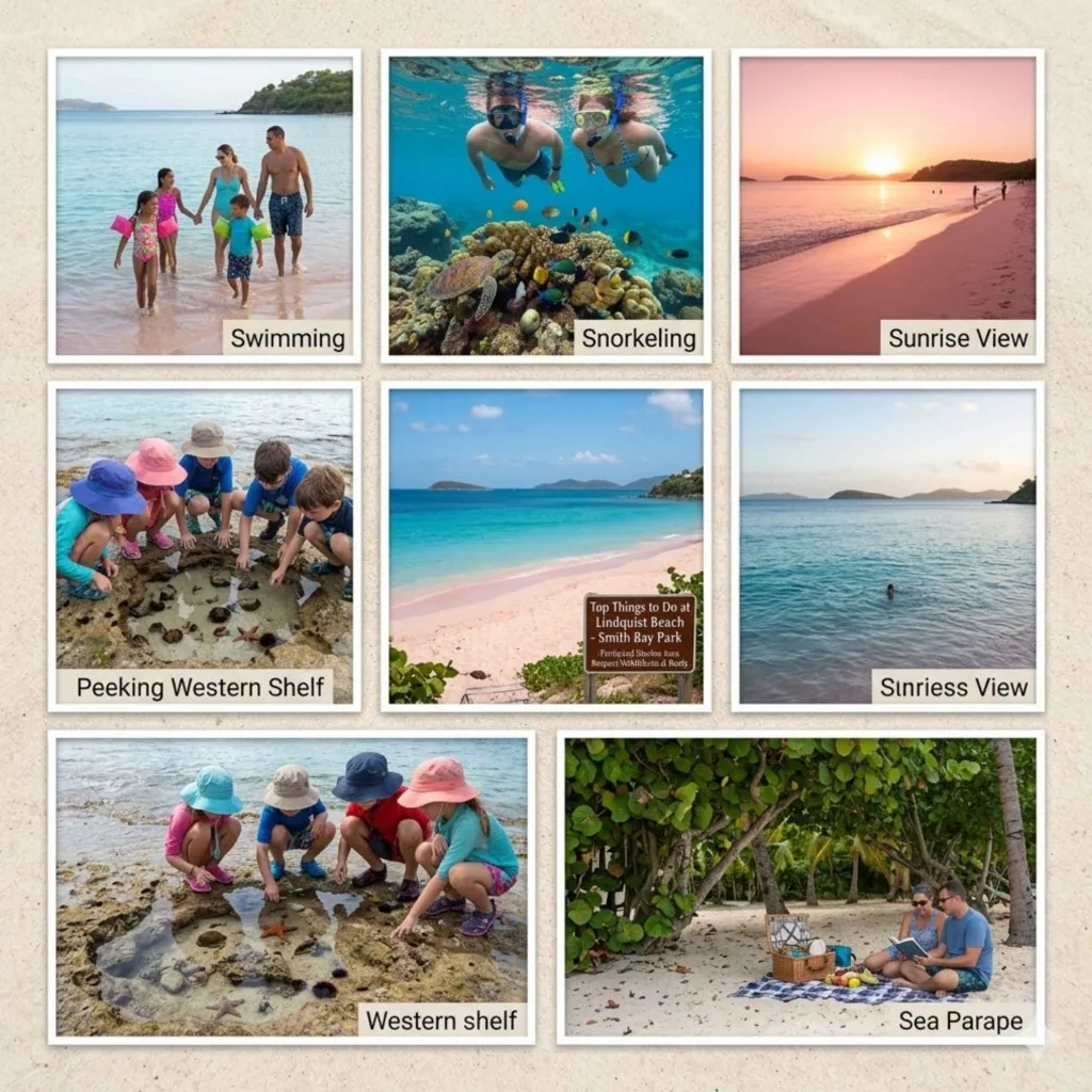 Top Things to Do at the Pink Sand St Thomas Beach