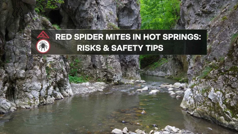 Red Spider Mites in Hot Springs