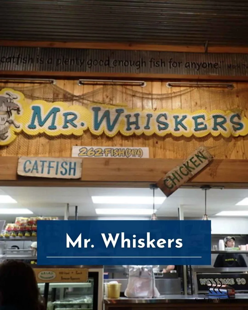 Mr. Whiskers