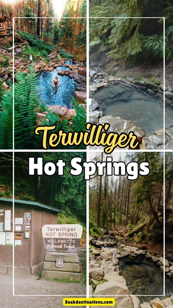 Terwilliger Hot Springs 1 - soakdestinations Terwilliger Hot Springs