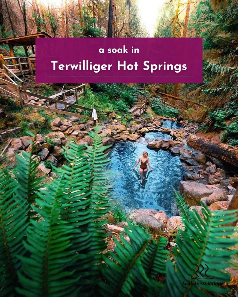 Terwilliger Hot Springs 2 - soakdestinations Terwilliger Hot Springs