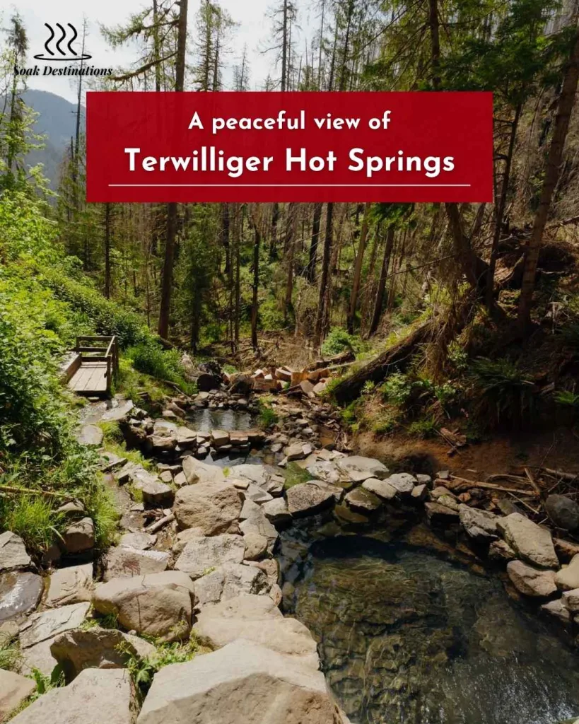Terwilliger Hot Springs 3 - soakdestinations Terwilliger Hot Springs