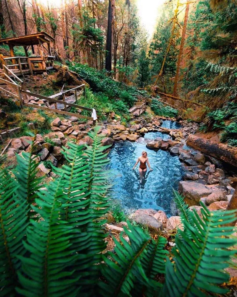 Terwilliger Hot Springs