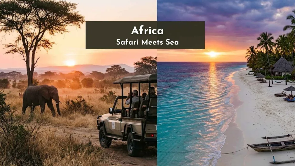 Africa — Safari Meets Sea