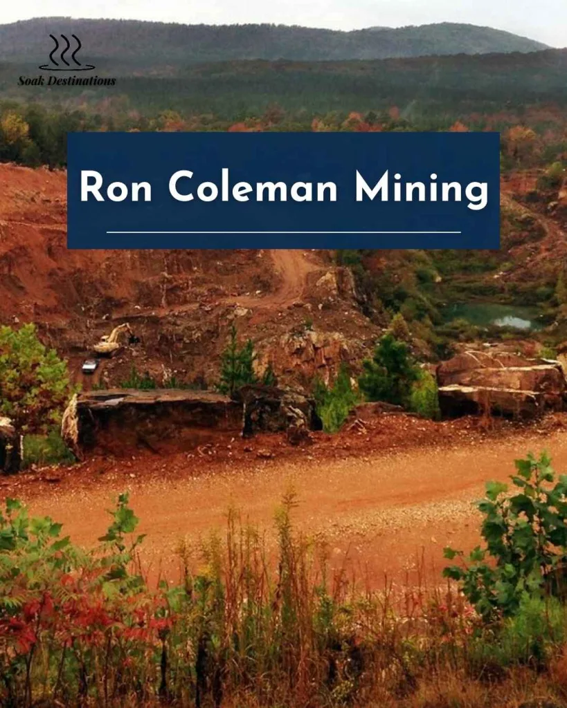 Dig for Quartz Crystals at a Working Mine