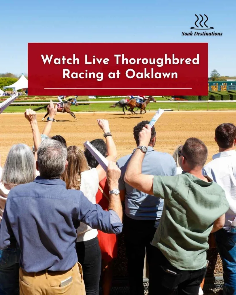 Watch Live Thoroughbred Racing at Oaklawn