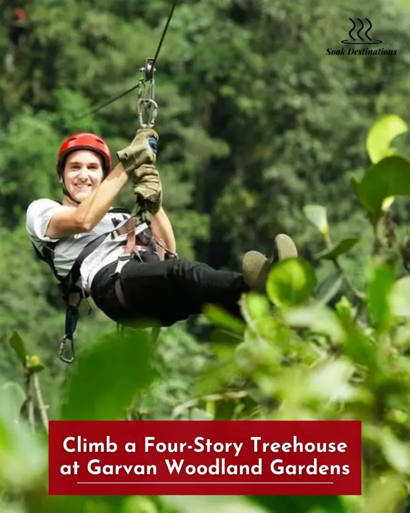 Catch a Live Moonlight Zip Tour Through the Forest After Dark