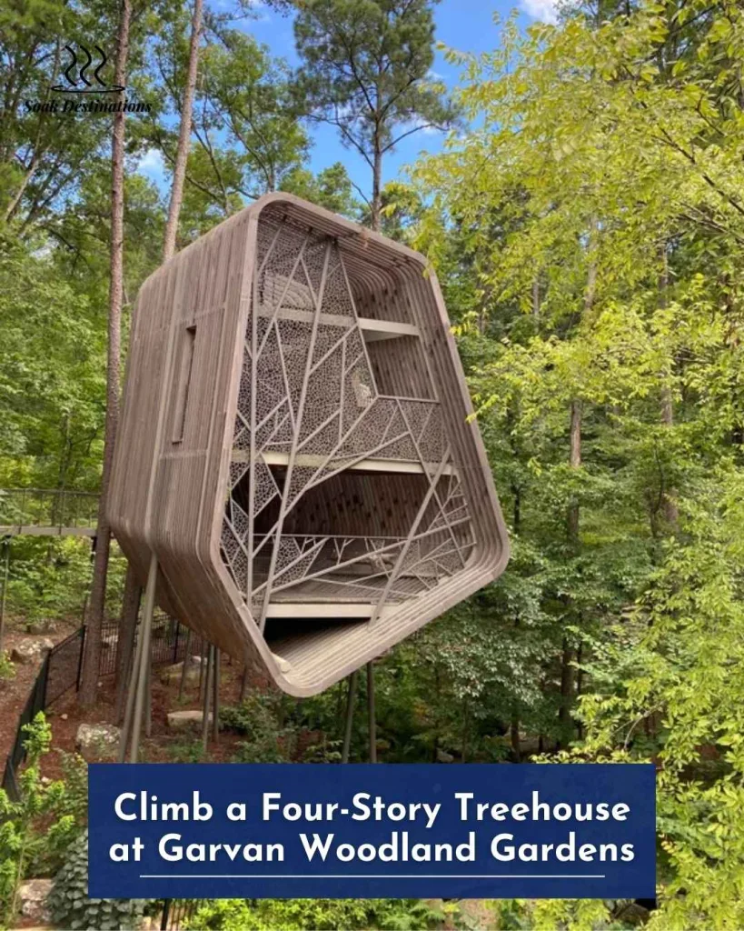 Climb a Four-Story Treehouse at Garvan Woodland Gardens