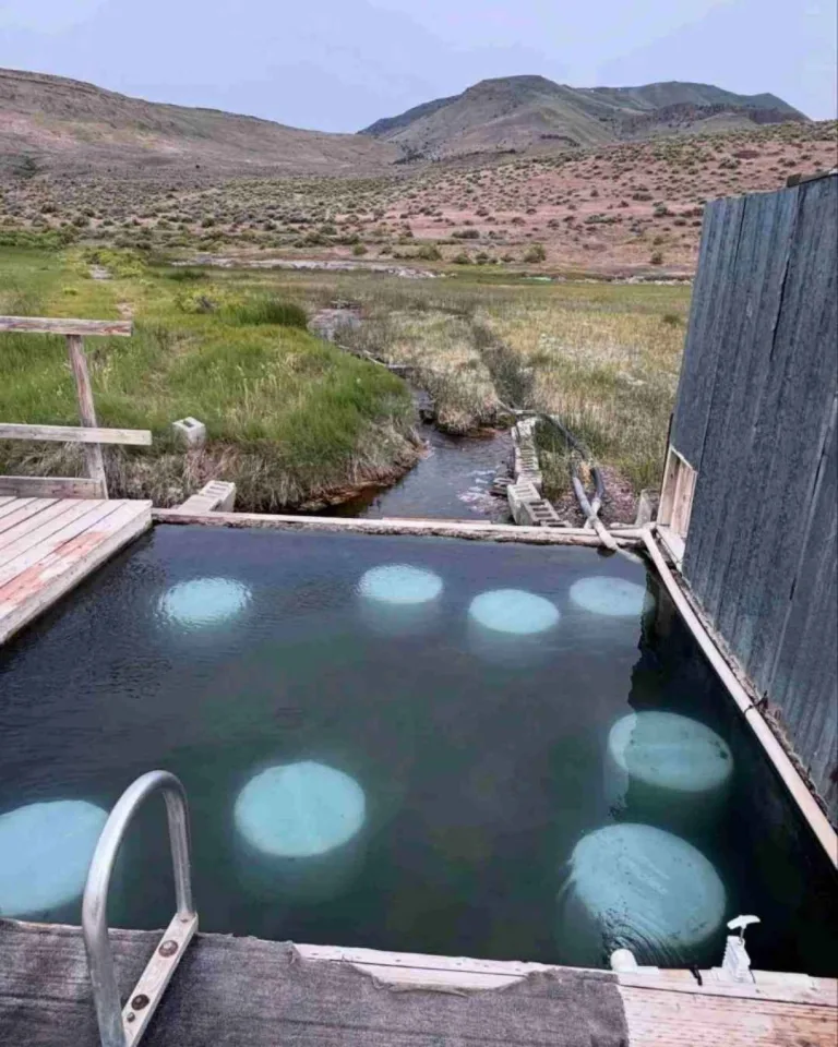 Miette Hot Springs 2026: Canada’s Hottest Springs