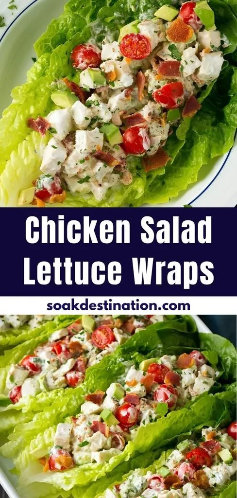 Chicken Salad Lettuce Wraps Recipe 2 1 - soakdestinations Chicken Salad Lettuce Wraps Recipe