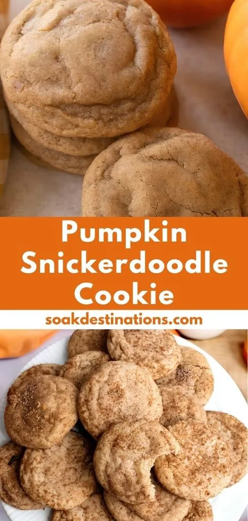 Pumpkin Snickerdoodle Cookie Recipe - soakdestinations Pumpkin Snickerdoodle Cookie Recipe